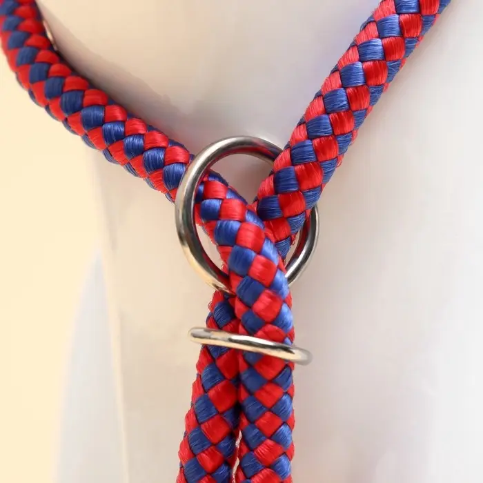 Ринговка для собак, 150&times;0.6 см, с вертлюгом, красная, синяя