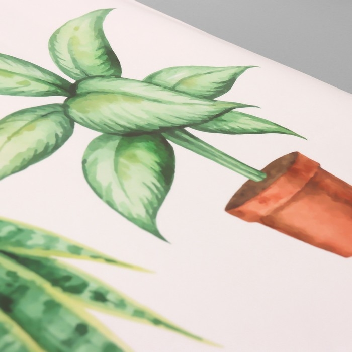 Наклейка пластик интерьерная цветная Наклейка пластик интерьерная цветная "Домашние растения" 40х60 см