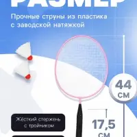 Набор для бадминтона ONLYTOP: 2 ракетки, 2 волана, розовый