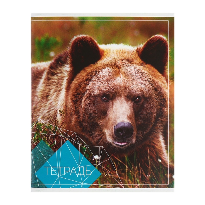 Комплект тетрадей из 4 штук, 96 листов в клетку Calligrata Комплект тетрадей из 4 штук, 96 листов в клетку Calligrata "Животные", обложка мелованный картон, блок №2, белизна 75% (серые листы)