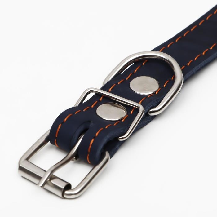 Ошейник кожаный однослойный, безразмерный, 56 х 2.5 см, ОШ 17-44 см, синий Ошейник кожаный однослойный, безразмерный, 56 х 2.5 см, ОШ 17-44 см, синий