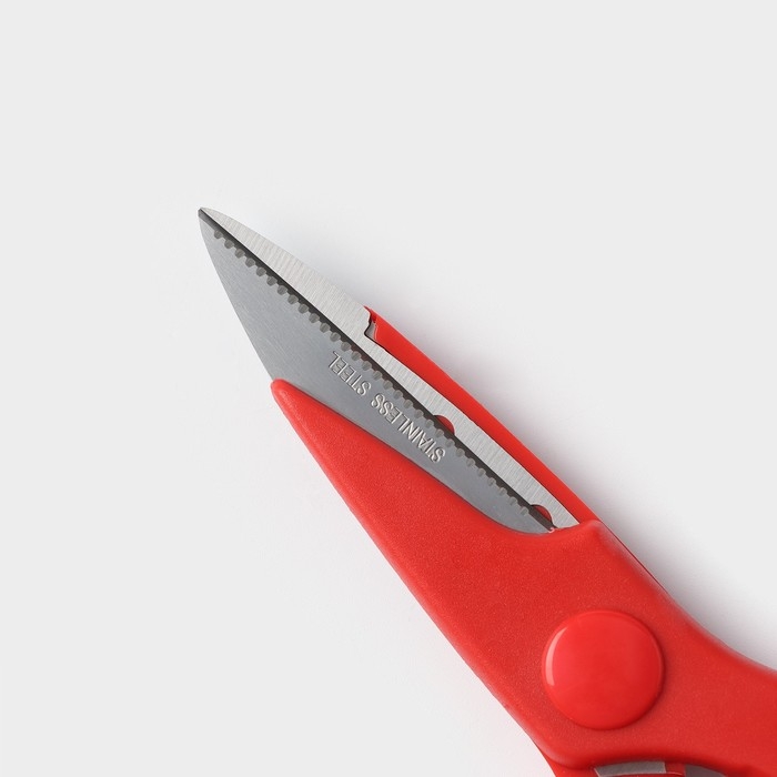 Ножницы кухонные Доляна «Вега», 20 см, цвет МИКС Ножницы кухонные Доляна «Вега», 20 см, цвет МИКС