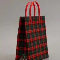 Пакет "Красно-зеленая клетка", мягкий пластик, 26 x 23 см, 110 мкм