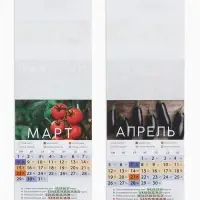 Календарь 2027 отрывной на магните &laquo;Огородный&raquo; 9.5&times;13 см