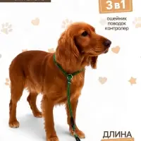 Ринговка для собак, 150&times;0.6 см, с вертлюгом, чёрная, зелёная