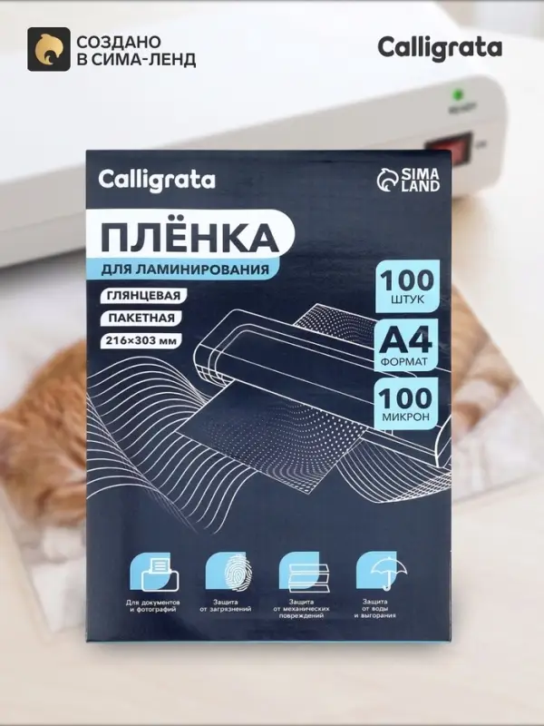 Пленка для ламинирования A4, 100 мкм 100 штук, глянцевая, 216&times;303 мм