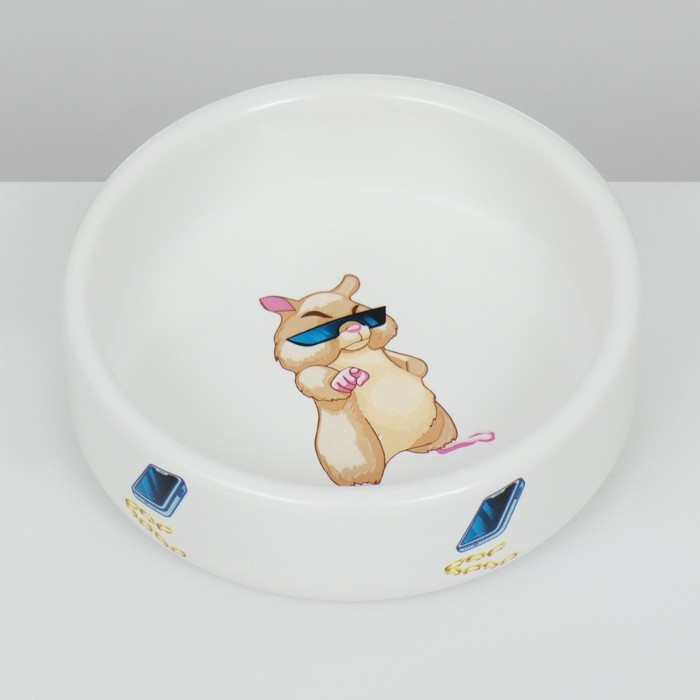 Миска керамическая для грызунов  Миска керамическая для грызунов "На стиле" 80 мл  8,5 х 3 см