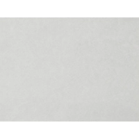 Полотенца бумажные д/держ. SKARA V- сложения, 2 сл., 200 лист/уп.