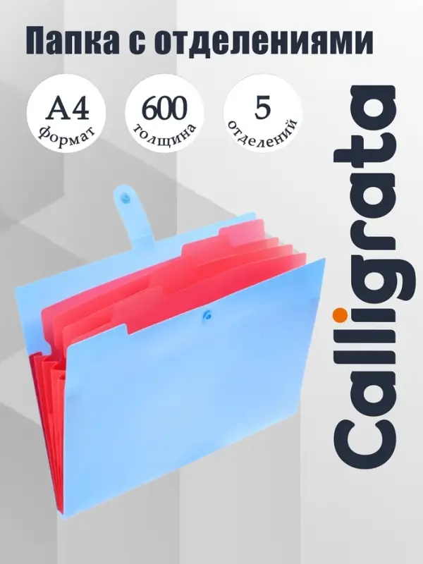 Папка А4, 5 отделений, Calligrata, 600 мкм, на кнопке, голубая, матовая
