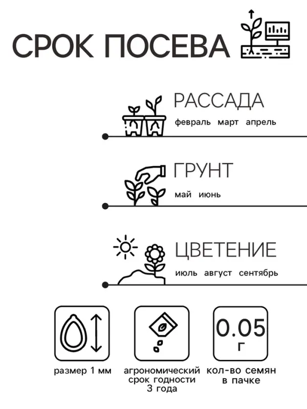 Семена цветов Алиссум  Семена цветов Алиссум "Снежный ковер", 0,05 г