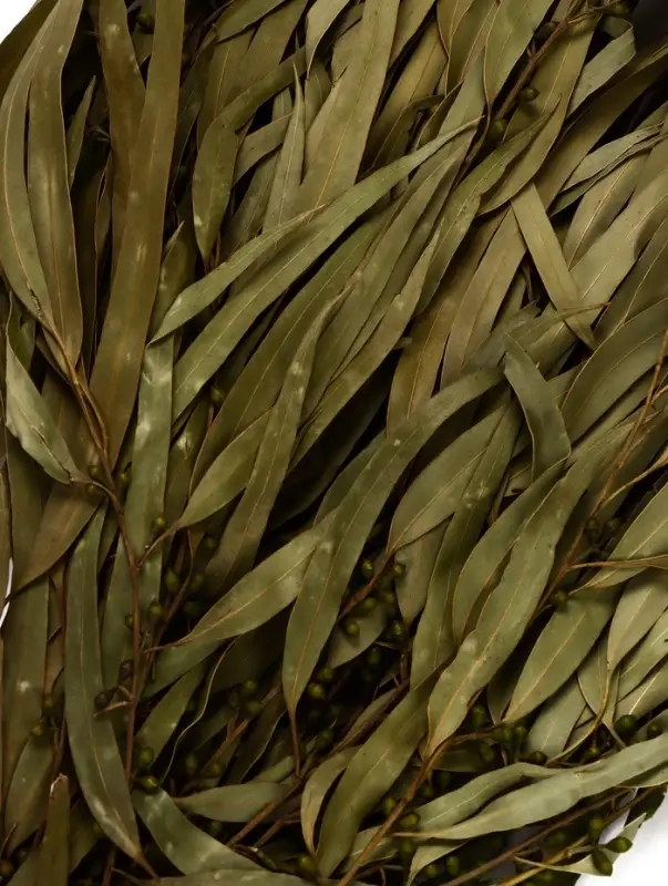 Веник для бани, эвкалиптовый, в упаковке