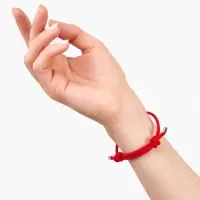 Браслет-оберег &laquo;Красная нить&raquo;, защита, красный в серебре, d=6