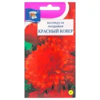 Набор семян Календула махровая "Красный ковёр", 5 шт. Набор семян Календула махровая "Красный ковёр", 5 шт.