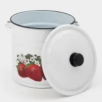 Ведро эмалированное, 12 л, с крышкой и ручкой, белое