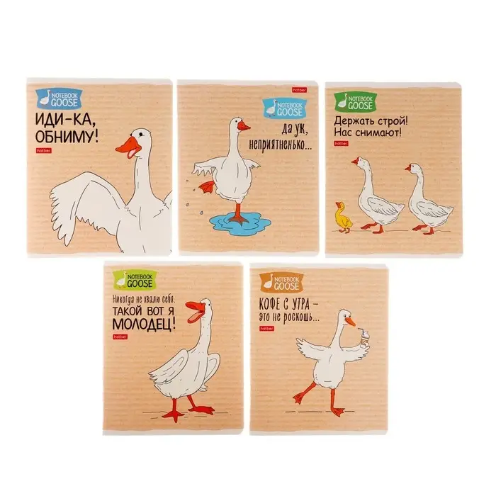 Тетрадь 48 листов в клетку &laquo;Гусь-веселюсь №2&raquo;, обложка мелованный картон, МИКС