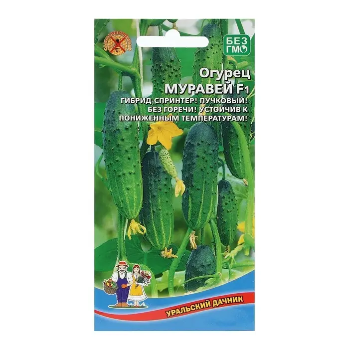 Семена Огурец Муравей F1 10 шт Семена Огурец Муравей F1 10 шт