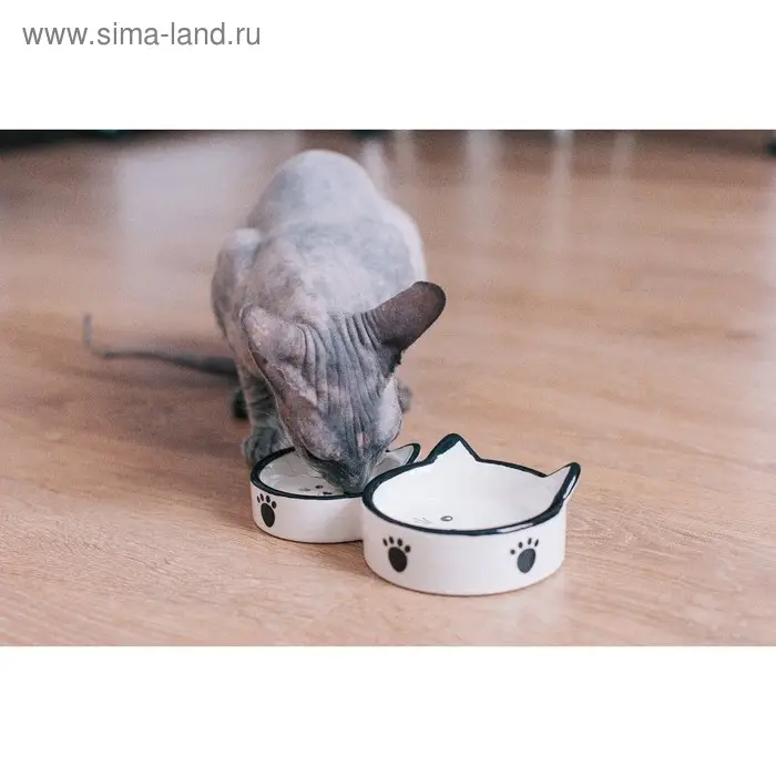 Миска двойная &laquo;Кошачье семейство&raquo;, 40/60 мл, 19&times;10.5&times;3.5 см, керамика, белая, чёрная