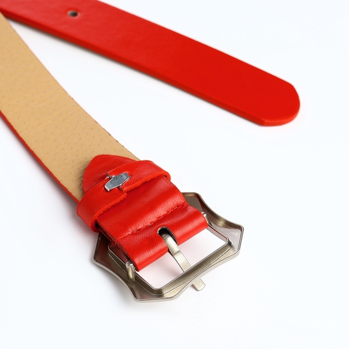 Ремень жен 04-01-02-01 Июнь6, 2,5*0,3*110 см, винт, пряжка металл мат, 1 прокол, красный Ремень жен 04-01-02-01 Июнь6, 2,5*0,3*110 см, винт, пряжка металл мат, 1 прокол, красный