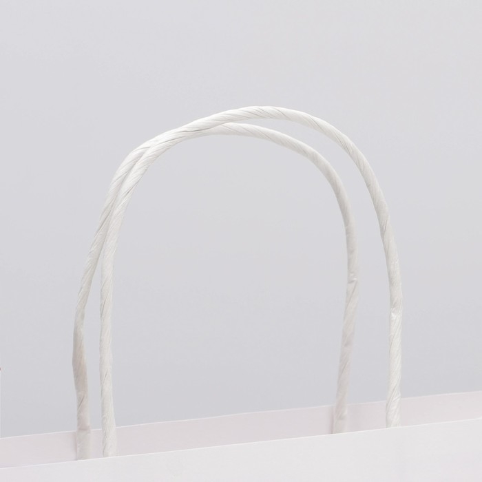 Пакет подарочный, упаковка, «Рыцарю», 22 х 22 х 11 см Пакет подарочный, упаковка, «Рыцарю», 22 х 22 х 11 см