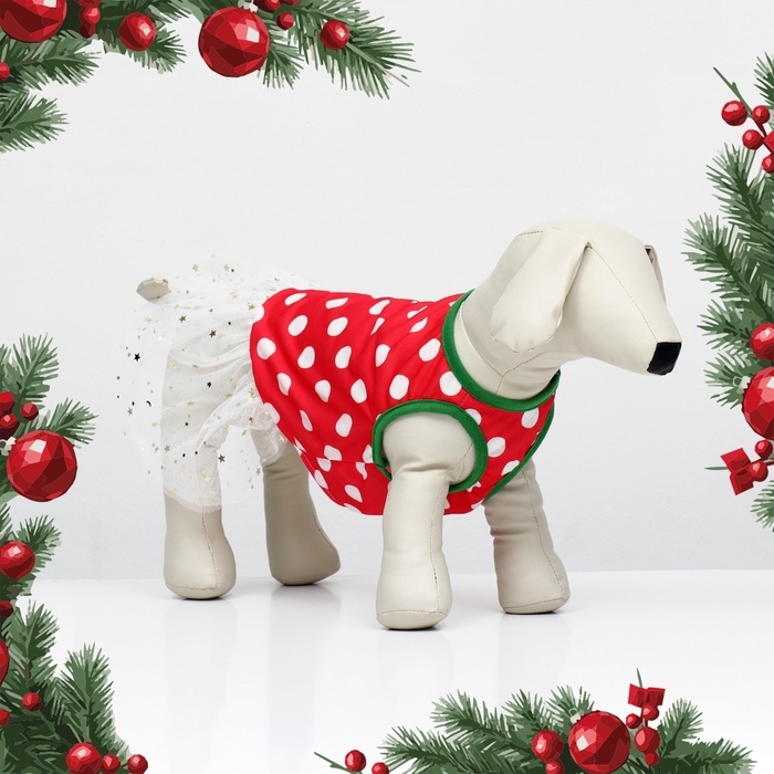 Костюм для животных  Костюм для животных "Фея", размер XS (ДС 22, ОГ 32, ОШ 21 см), красно-белый