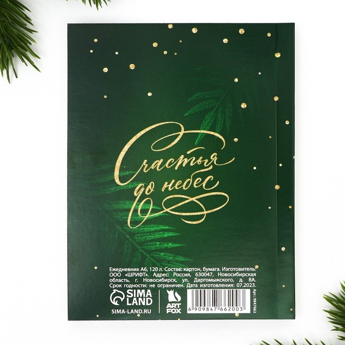 Новый год. Ежедневник А6, 120 л «Чудо обязательно случится» Новый год. Ежедневник А6, 120 л «Чудо обязательно случится»