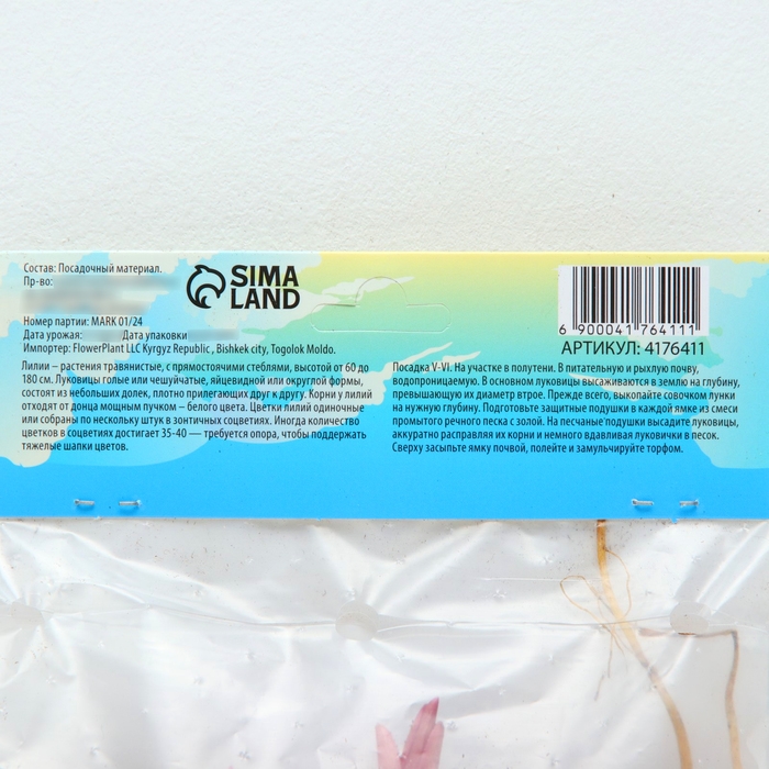 Лилия Восточная Лилия Восточная "Диззи", р-р 12/14, 3 шт,