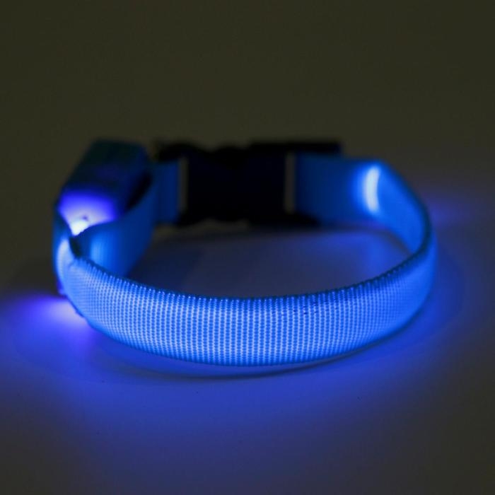 Ошейник светящийся узкий для небольших собак, 26 х 1,5 см, голубой Ошейник светящийся узкий для небольших собак, 26 х 1,5 см, голубой
