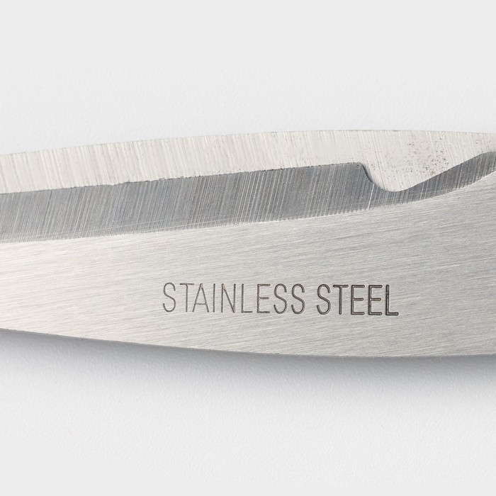 Ножницы кухонные Доляна «Помощник», 19 см, цвет зелёный Ножницы кухонные Доляна «Помощник», 19 см, цвет зелёный