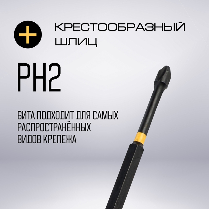 Бита ТУНДРА ПРОФИ, Torsion, сталь S2, PH2 х 127 мм, пластиковый кейс по 10 шт. Бита ТУНДРА ПРОФИ, Torsion, сталь S2, PH2 х 127 мм, пластиковый кейс по 10 шт.