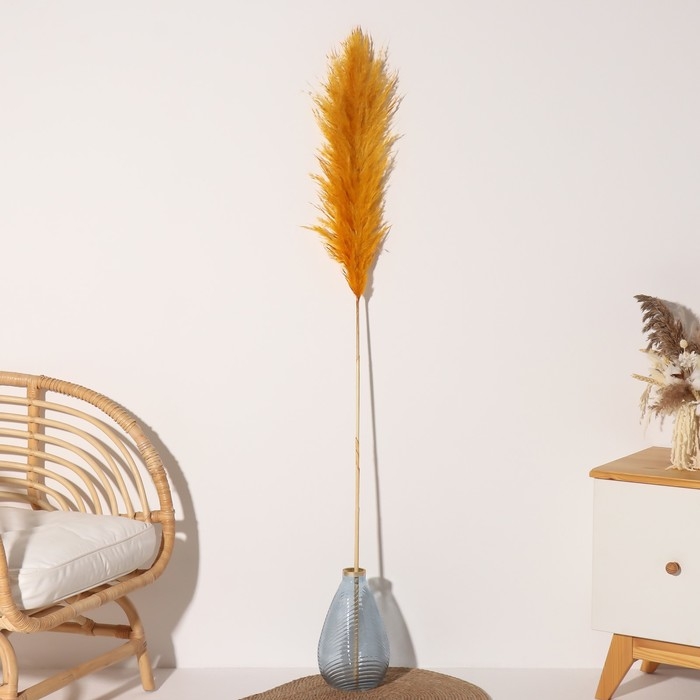 Сухоцвет Сухоцвет "Кортадерия", 1 ветка, длина 140-150 см, горчичный