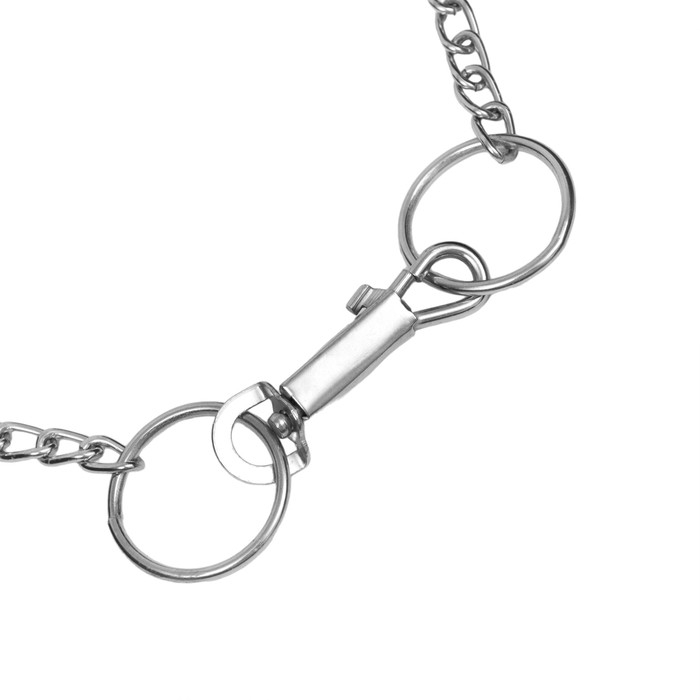 Ошейник металлический 43 см х 2 мм Ошейник металлический 43 см х 2 мм