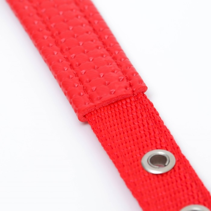 Ошейник Ошейник "Комфорт" комбинированный, 45 х 2 см, ОШ 30-39 см, красный