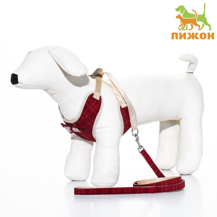 Комплект с мягкой шлейкой  Комплект с мягкой шлейкой "Клетки", размер L, поводок 120 х 1,5 см, ОГ 42-76 см, красный