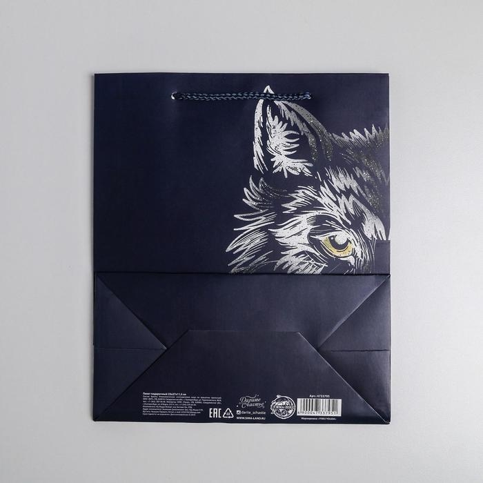 Пакет подарочный ламинированный вертикальный, упаковка, &laquo;Сильному духом&raquo;, ML 23 х 27 х 11,5 см