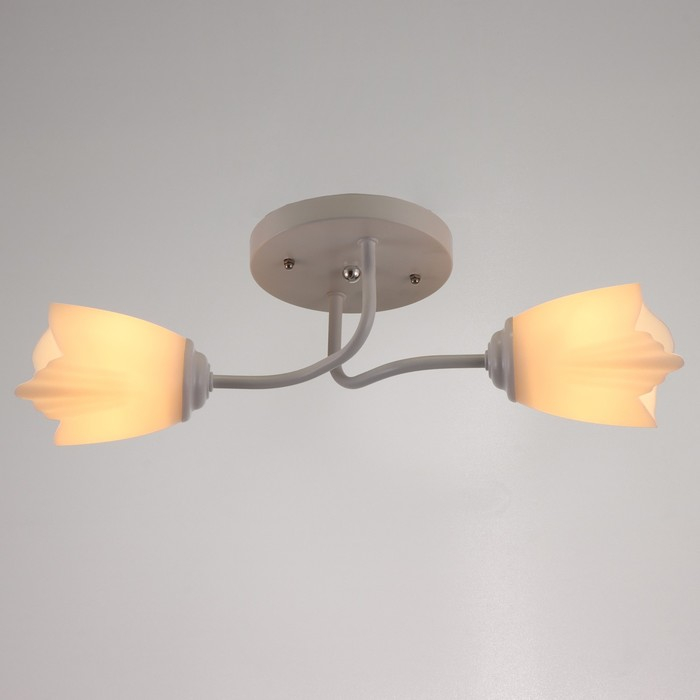 Люстра 1341001/2WT E27 15Вт белый BayerLux Люстра 1341001/2WT E27 15Вт белый BayerLux