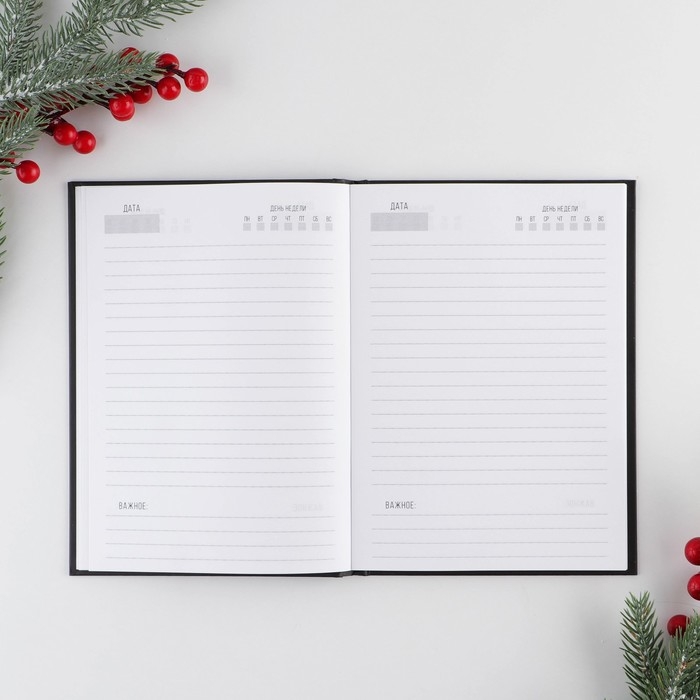 Новый год. Ежедневник классический «Лучшему из лучших», 7БЦ А5, 80 листов Новый год. Ежедневник классический «Лучшему из лучших», 7БЦ А5, 80 листов