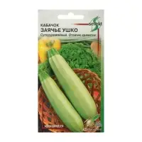 Семена Кабачок &laquo;Заячье ушко&raquo;, 10 шт., &laquo;Дом семян&raquo;