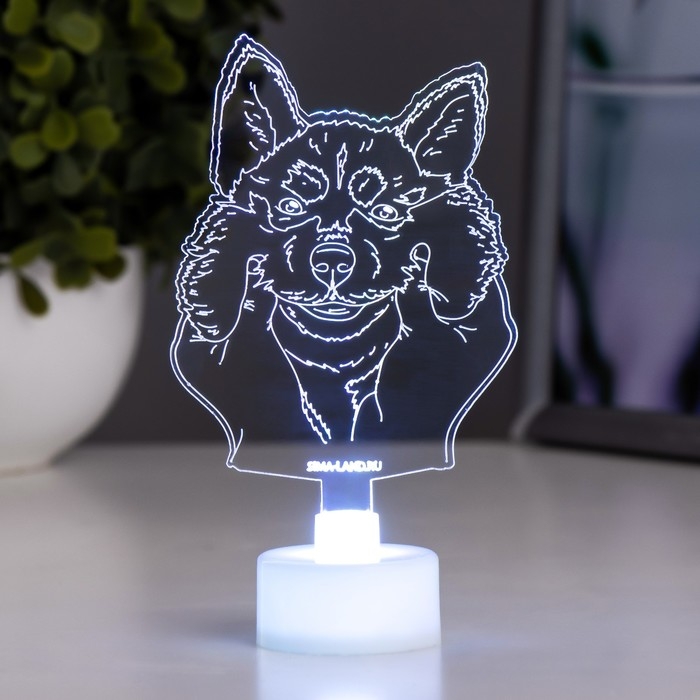 Светильник Светильник "Хаски" LED RGB 6 цветов от батареек LR1130, 3шт 7х10,5 см RISALUX