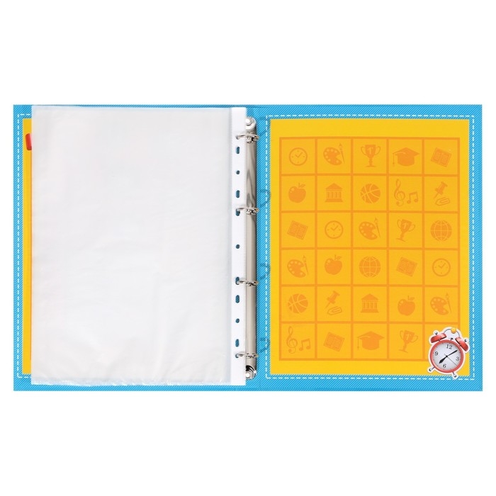 Папка школьная на кольцах «Портфолио ученика начальной школы», 10 листов-разделителей, 24,5 х 32 см.