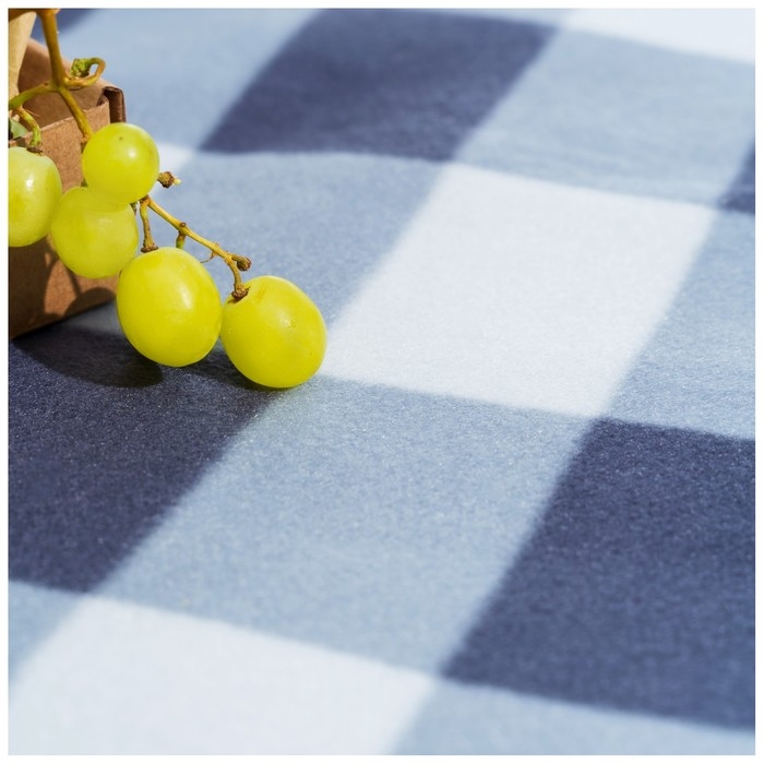 Плед для пикника Maclay, цвет серый Плед для пикника Maclay, цвет серый