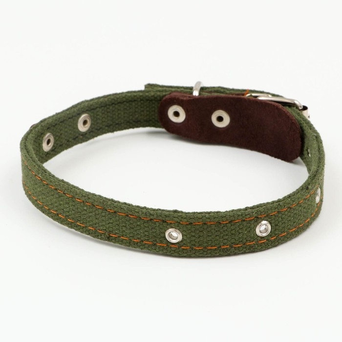 Ошейник брезентовый двухслойный безразмерный,с языком и кожаной косточкой,2х55 см,ОШ 31-54 см Ошейник брезентовый двухслойный безразмерный,с языком и кожаной косточкой,2х55 см,ОШ 31-54 см