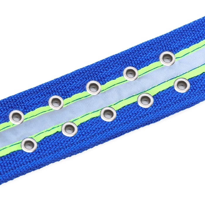 Ошейник четырехслойный светоотражающий с вертлюгом, 71 х 5 см, ОШ 55-65 см, синий Ошейник четырехслойный светоотражающий с вертлюгом, 71 х 5 см, ОШ 55-65 см, синий