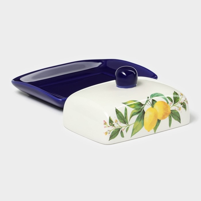 Маслёнка Доляна «Лимон», 17×12×8,5 см, цвет белый Маслёнка Доляна «Лимон», 17×12×8,5 см, цвет белый