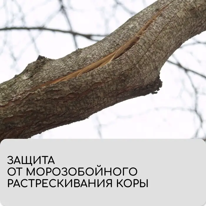 Лента для подвязки растений, 10×0.02 м, плотность 60 г/м², набор 2 шт., спанбонд с УФ-стабилизатором, белая, Greengo, Эконом 20% Лента для подвязки растений, 10×0.02 м, плотность 60 г/м², набор 2 шт., спанбонд с УФ-стабилизатором, белая, Greengo, Эконом 20%