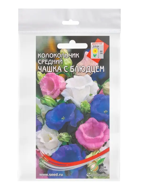 Набор семян Колокольчик многолетний &laquo;Чашка с Блюдцем&raquo;, 180 семян