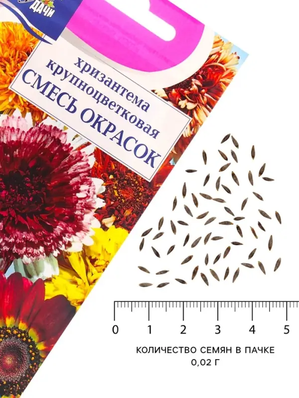 Семена Цветов Хризантема многолетняя &laquo;Смесь окрасок&raquo;, крупноцветковая, 0.02 г, &laquo;Урожай удачи&raquo;