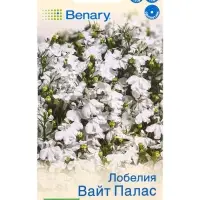 Семена цветов Лобелия Вайт палас кустовая (драже в пробирке) Спецсерия Benary, Ц/П,5 шт. Семена цветов Лобелия Вайт палас кустовая (драже в пробирке) Спецсерия Benary, Ц/П,5 шт.