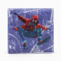 Салфетки бумажные, 24&times;24 см, 20 штук, &laquo;Подросток&raquo;