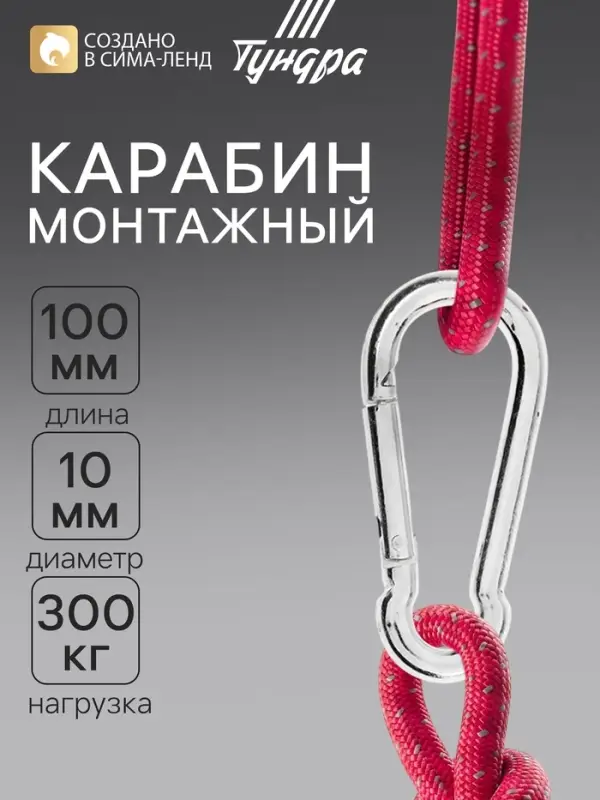 Карабин ТУНДРА krep, DIN5299С, 10&times;100 мм, оцинкованный, 1 шт.
