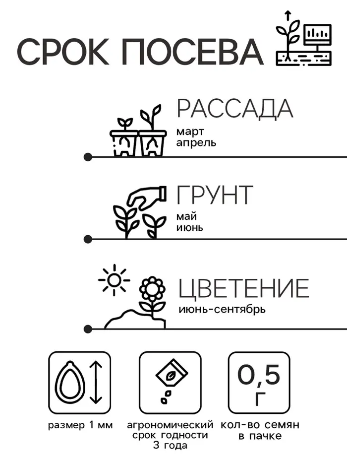 Семена цветов Душистый горошек "Шоколадный крем", 0,5 г Семена цветов Душистый горошек "Шоколадный крем", 0,5 г